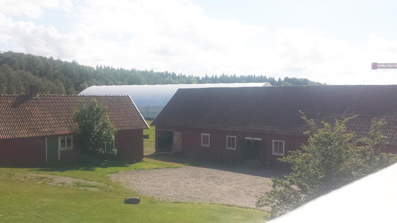 Gardsdroem B&B Уларед Екстериор снимка